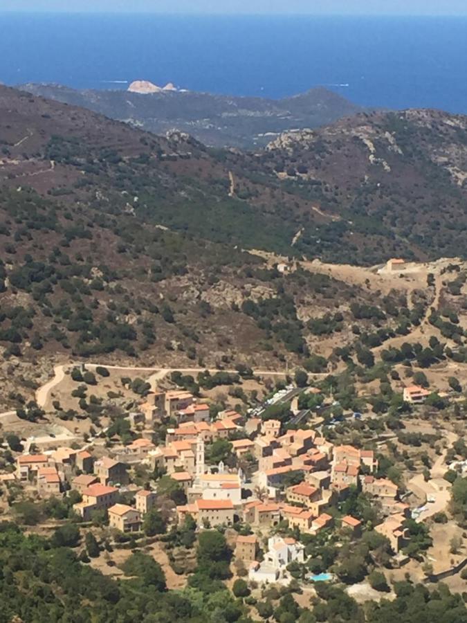 Villa Grand Confort A 500M De La Plage De Lozari Palasca  Buitenkant foto