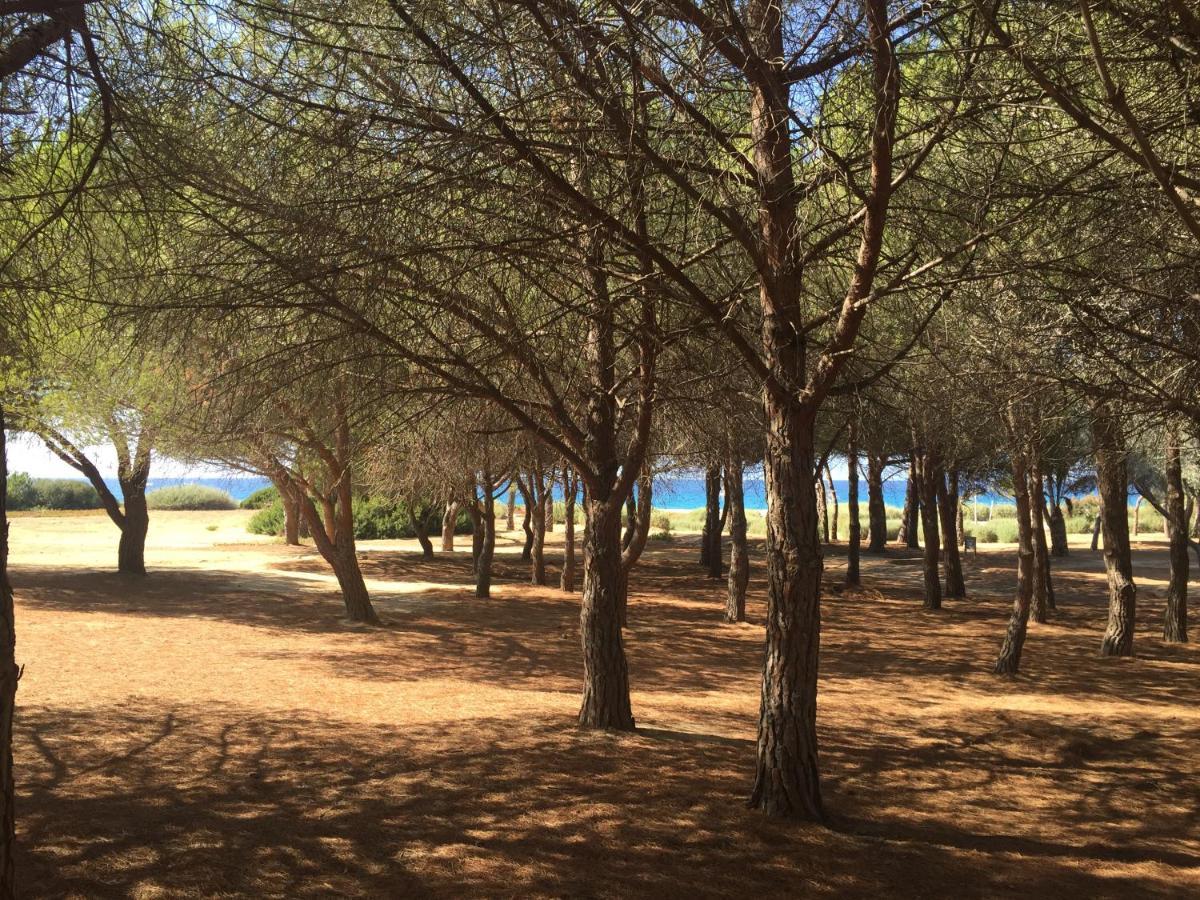 Villa Grand Confort A 500M De La Plage De Lozari Palasca  Buitenkant foto