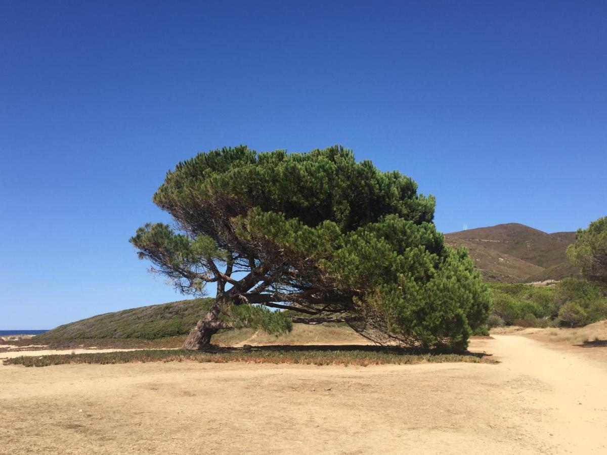 Villa Grand Confort A 500M De La Plage De Lozari Palasca  Buitenkant foto